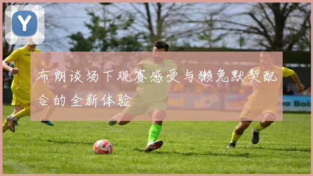布朗谈场下观赛感受与獭兔默契配合的全新体验