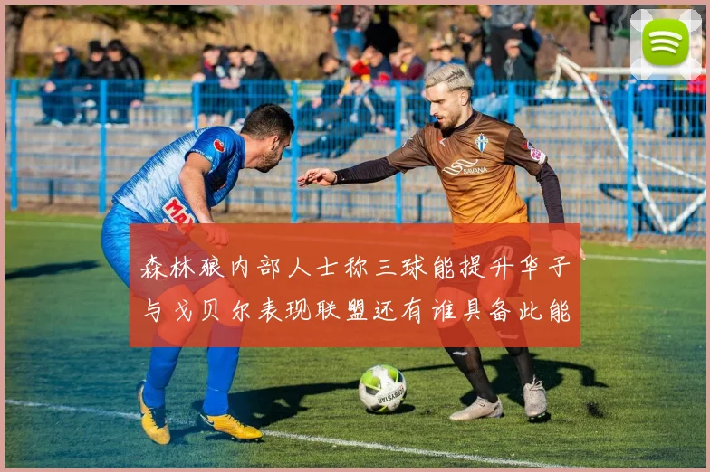 森林狼内部人士称三球能提升华子与戈贝尔表现联盟还有谁具备此能力